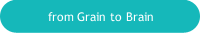 from Grain to Brain